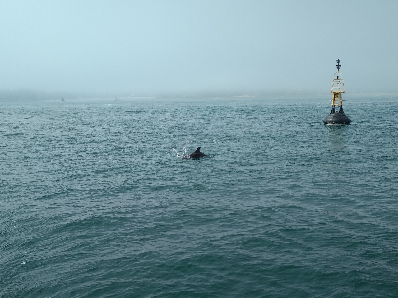 Sortie Saint-Malo avec voilier